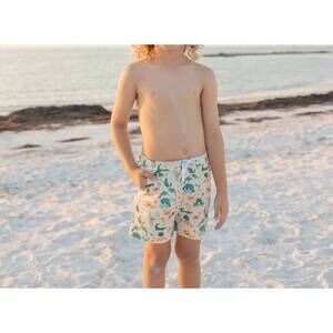 NEW EMERSON AND FRIENDS explore florida boys swim trunks in multi